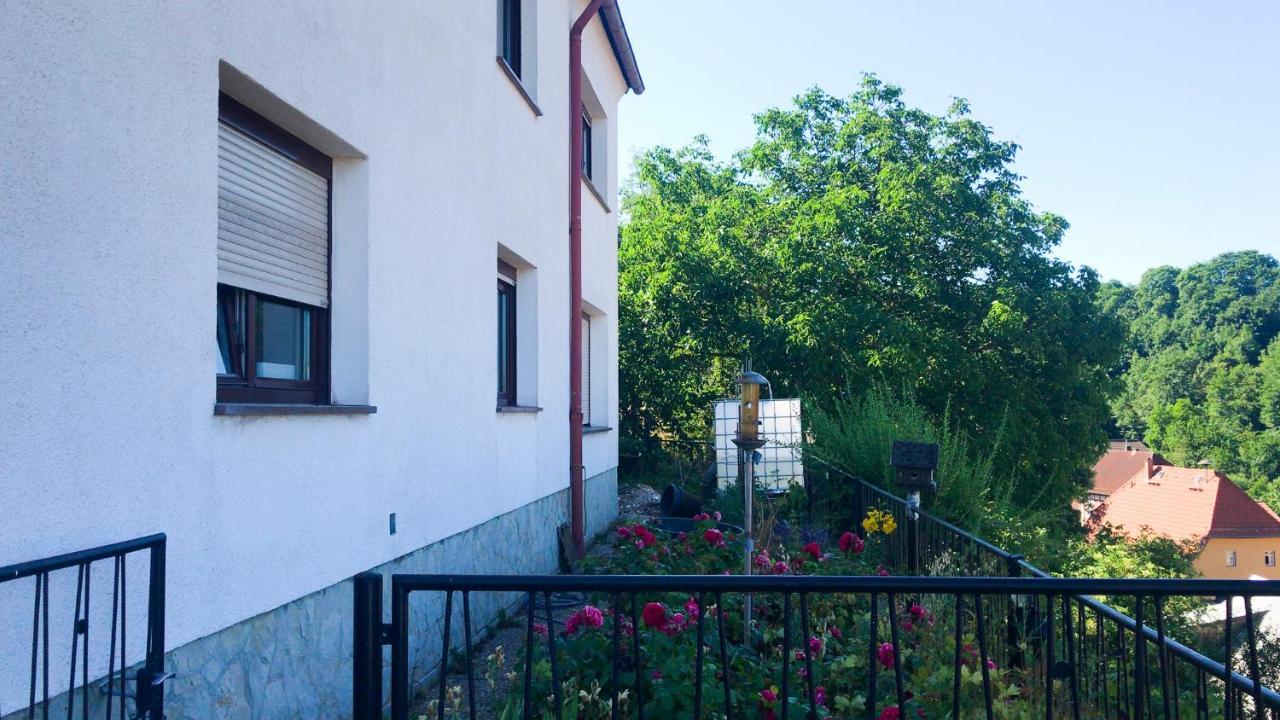 Schlossberg Apartments & Garten In Der Natur & Unweit Vom "Thueringer Meer" Unterwellenborn Luaran gambar